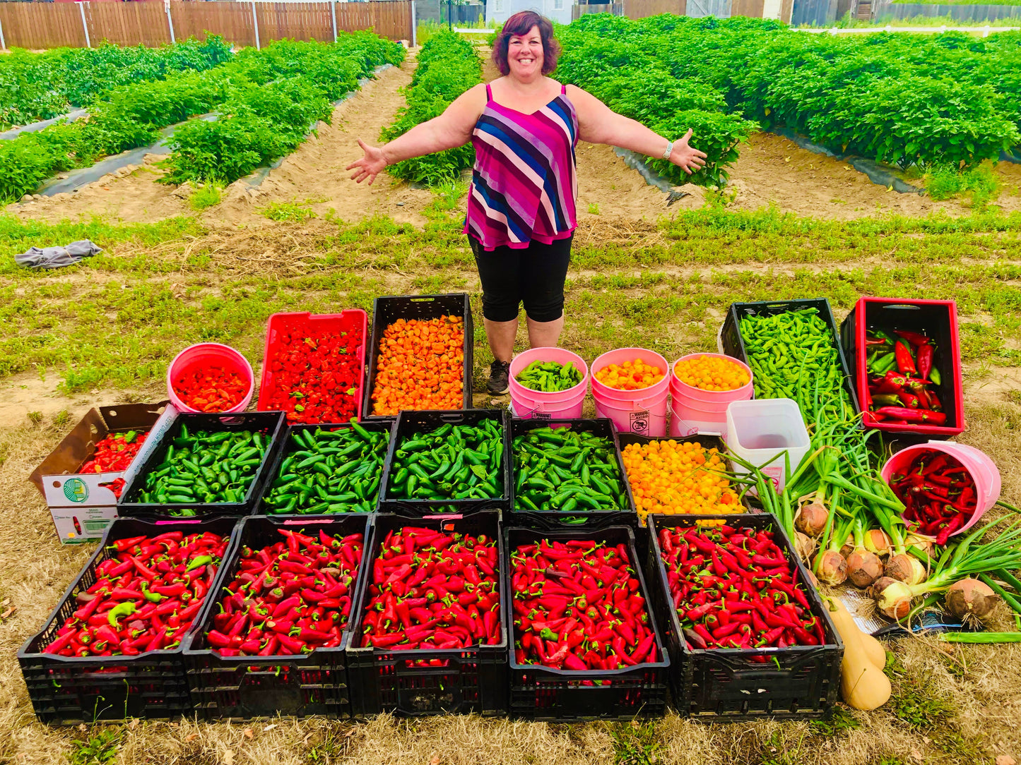 Raspberry Habanero Pepper Jelly