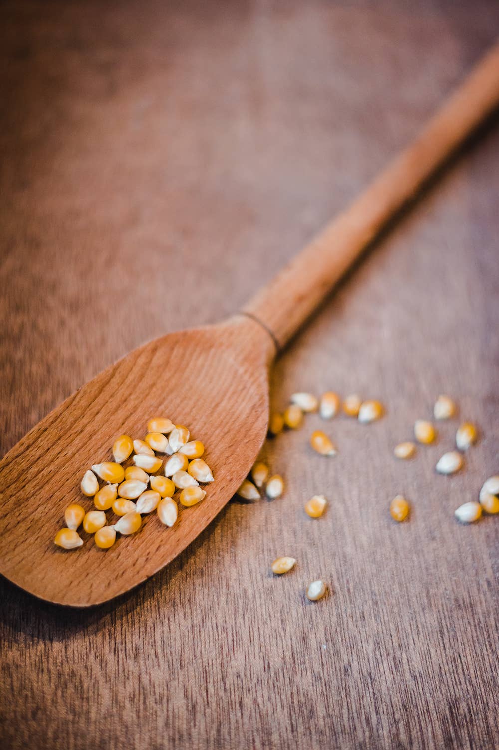 Bag of Baby Yellow Popcorn, 4oz