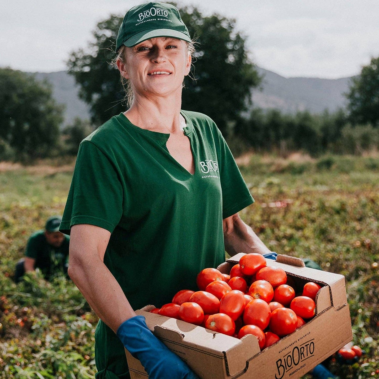 Bio Orto Organic Whole Peeled Tomatoes in Water