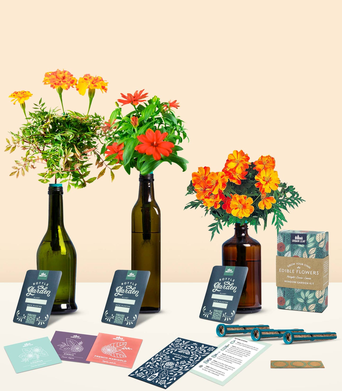 Edible Flowers Bottle Garden Herb Kit