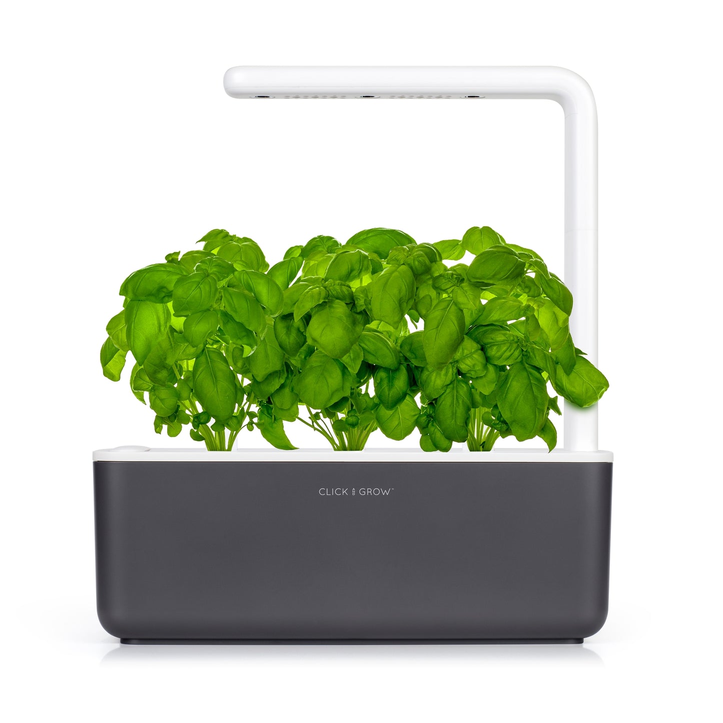 Smart Garden 3 - Dark Grey