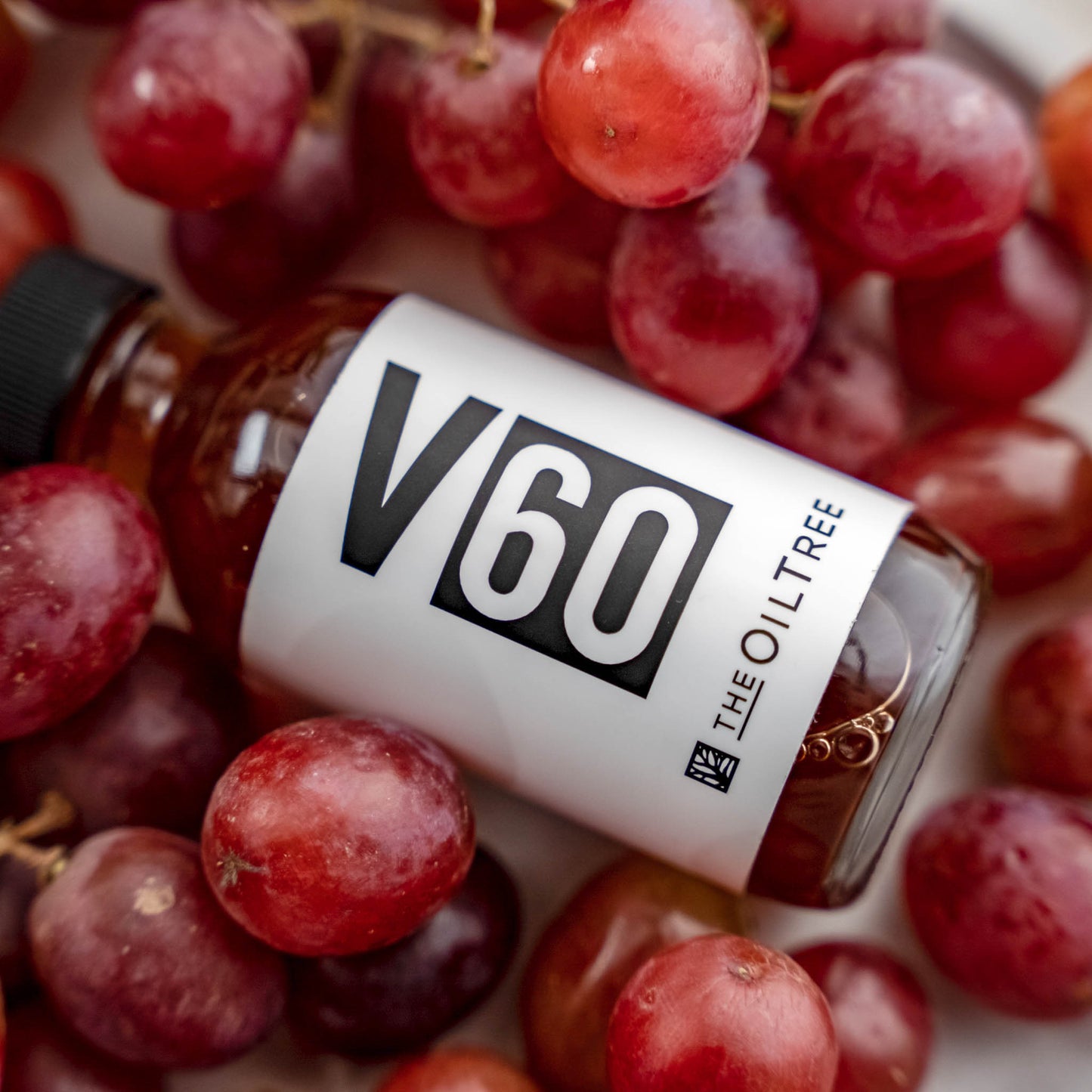 Barrel Aged Red Wine Vinegar