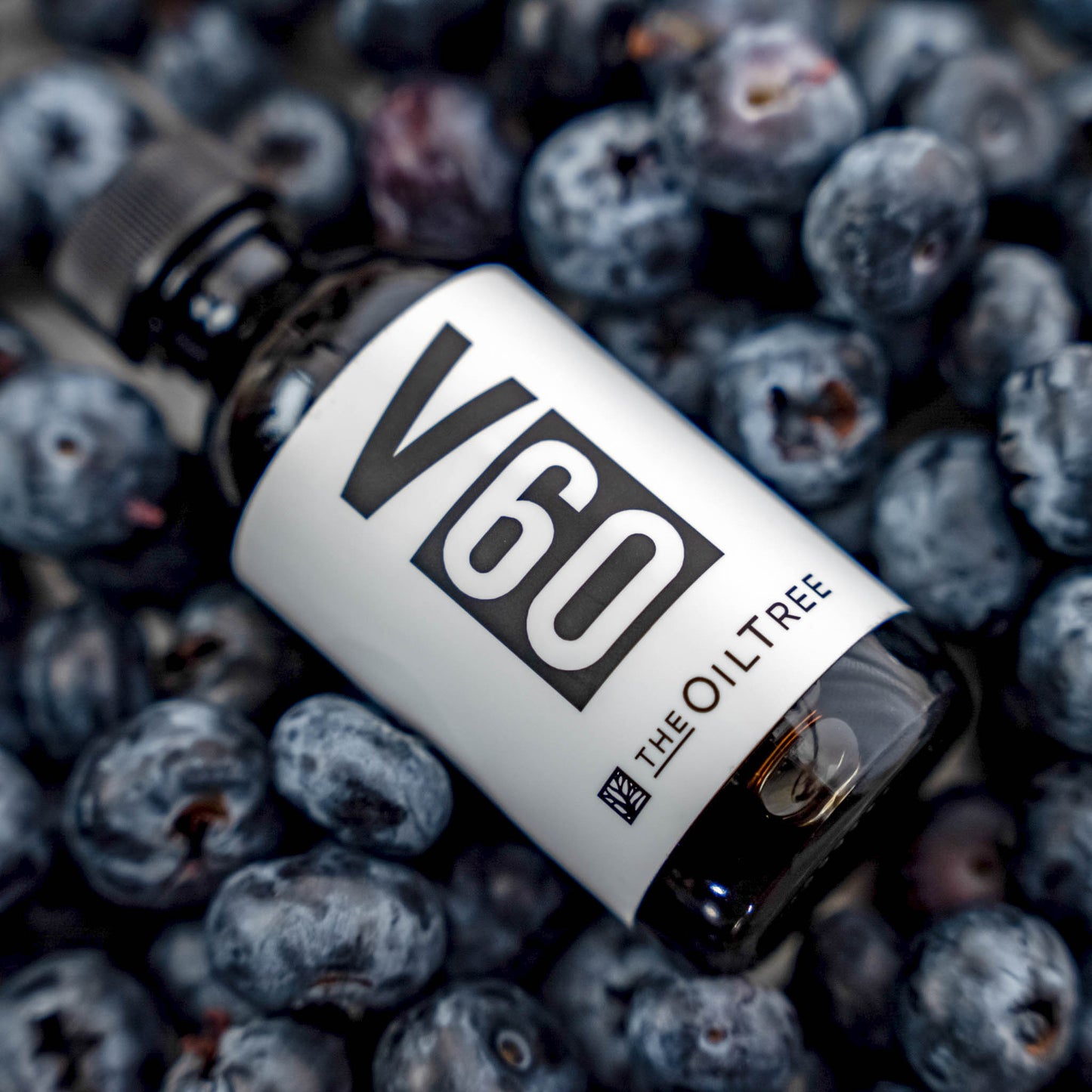 Blueberry Aged Dark Balsamic Vinegar