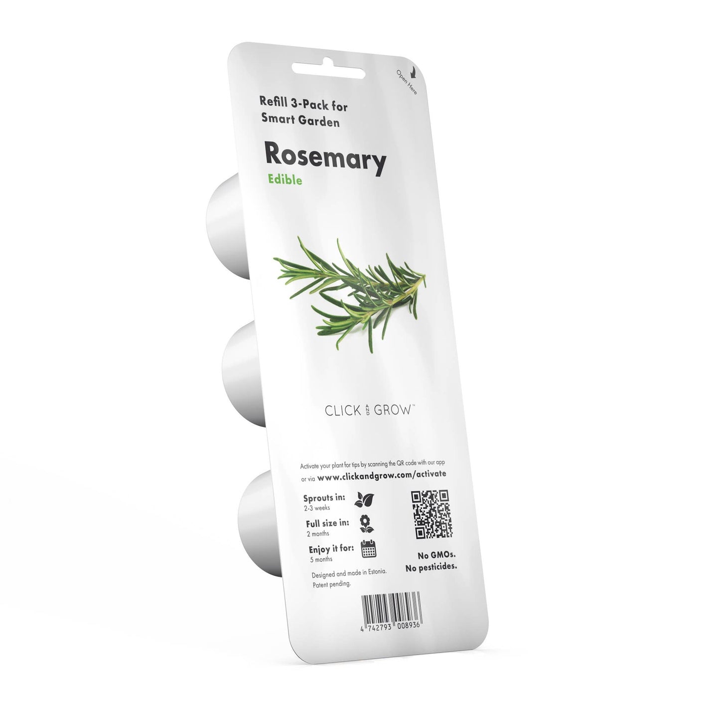 Rosemary Plant Pods