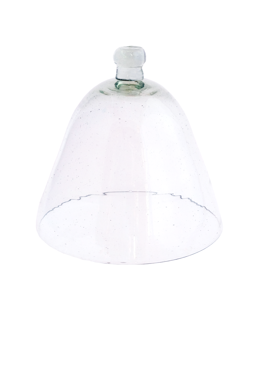 Glass Dome/cloche