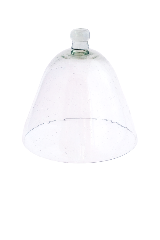Glass Dome/cloche