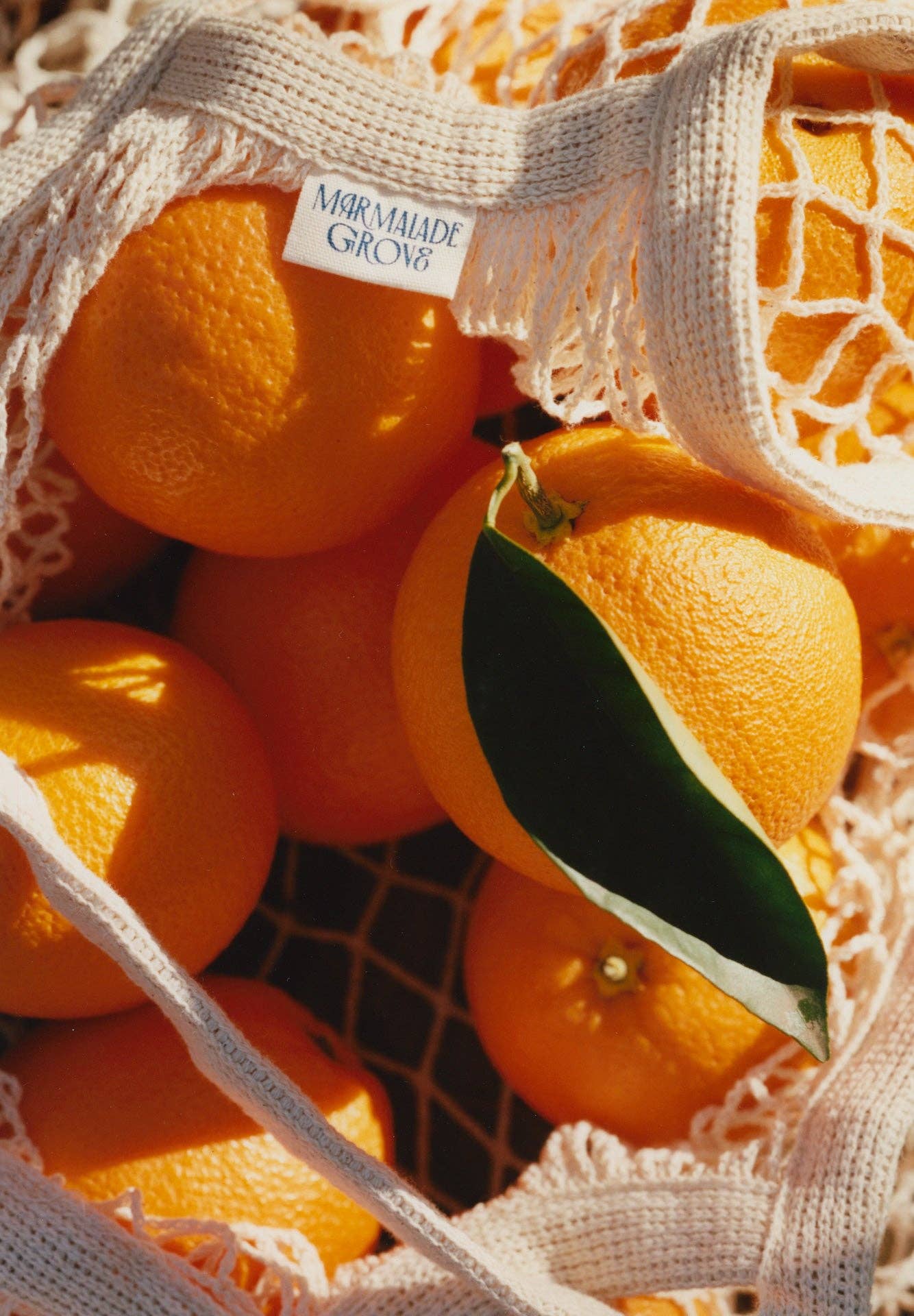 "Tea Time" Navel Orange & Ceylon Tea Marmalade: 5oz Marmalade Jar