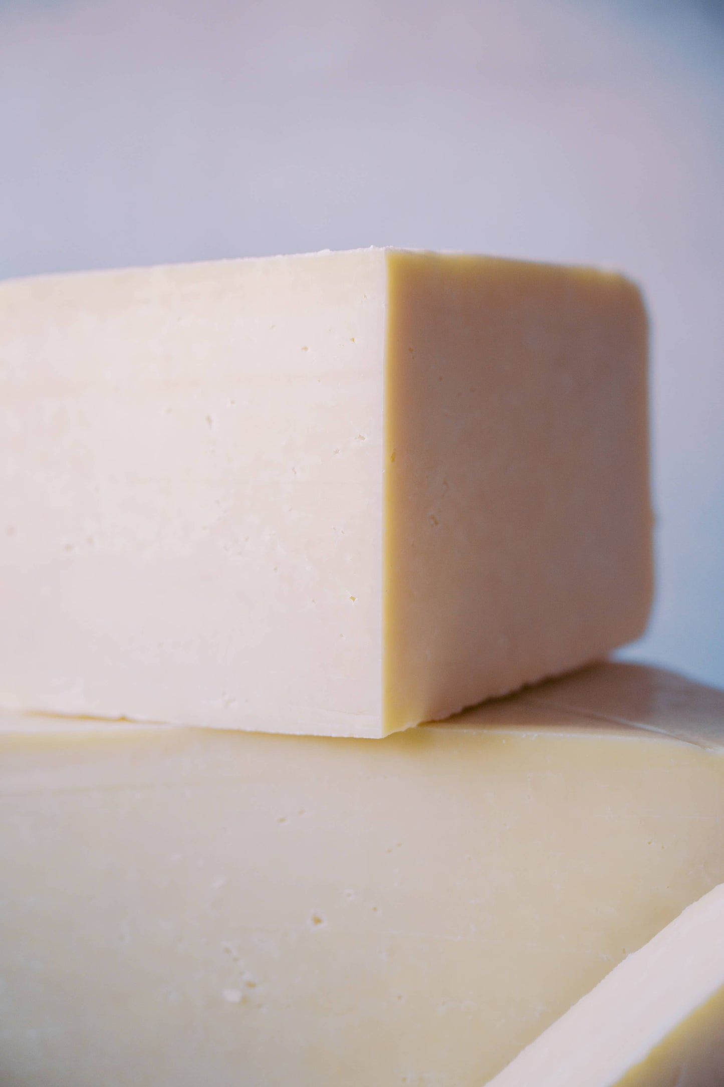 Fontina, Cow Milk Cheese