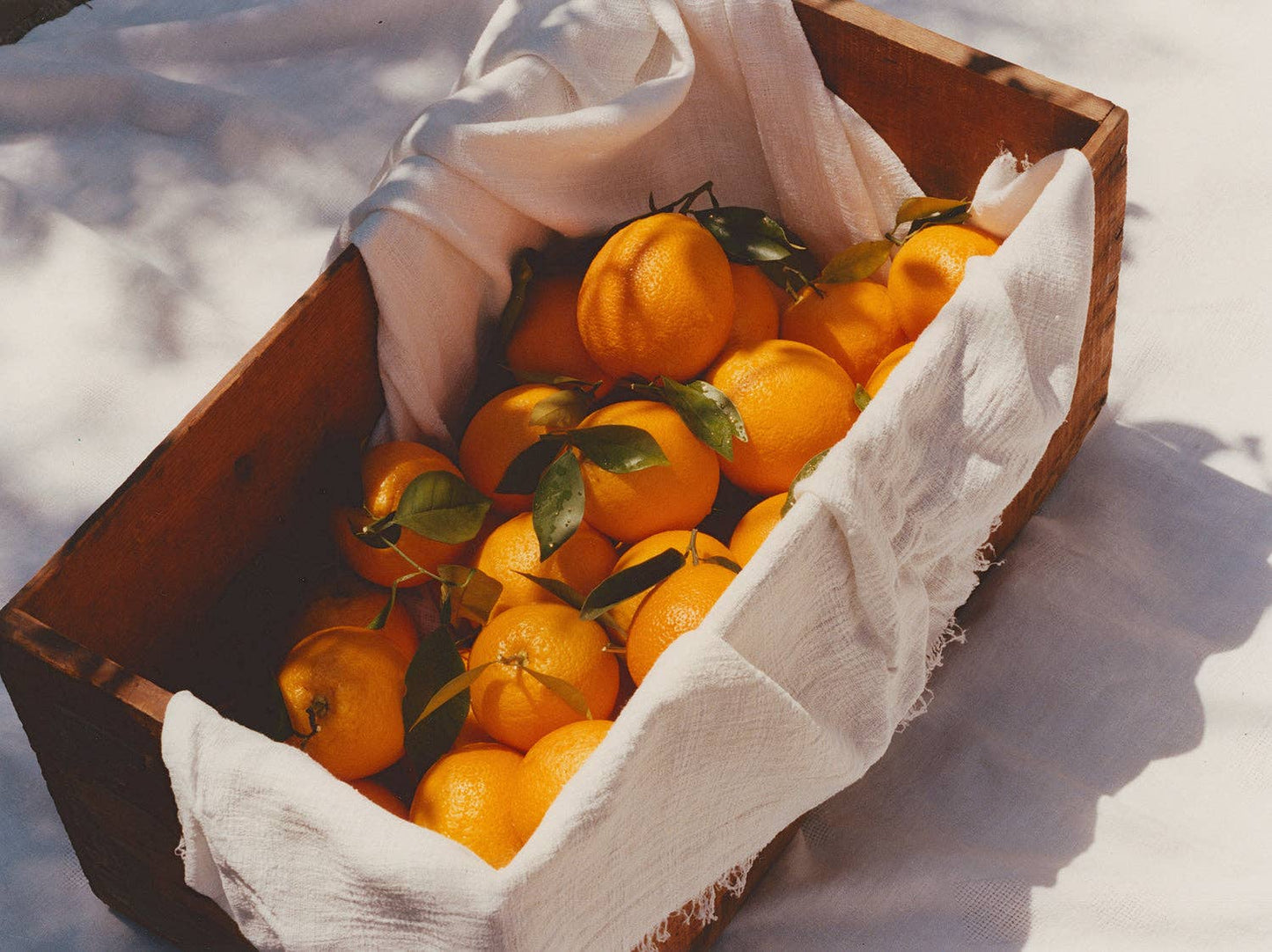 Ruby Valencia and Apricot Marmalade