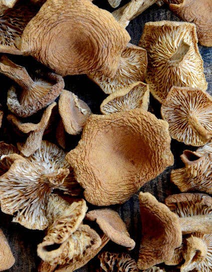 Dried Candy Cap Mushrooms