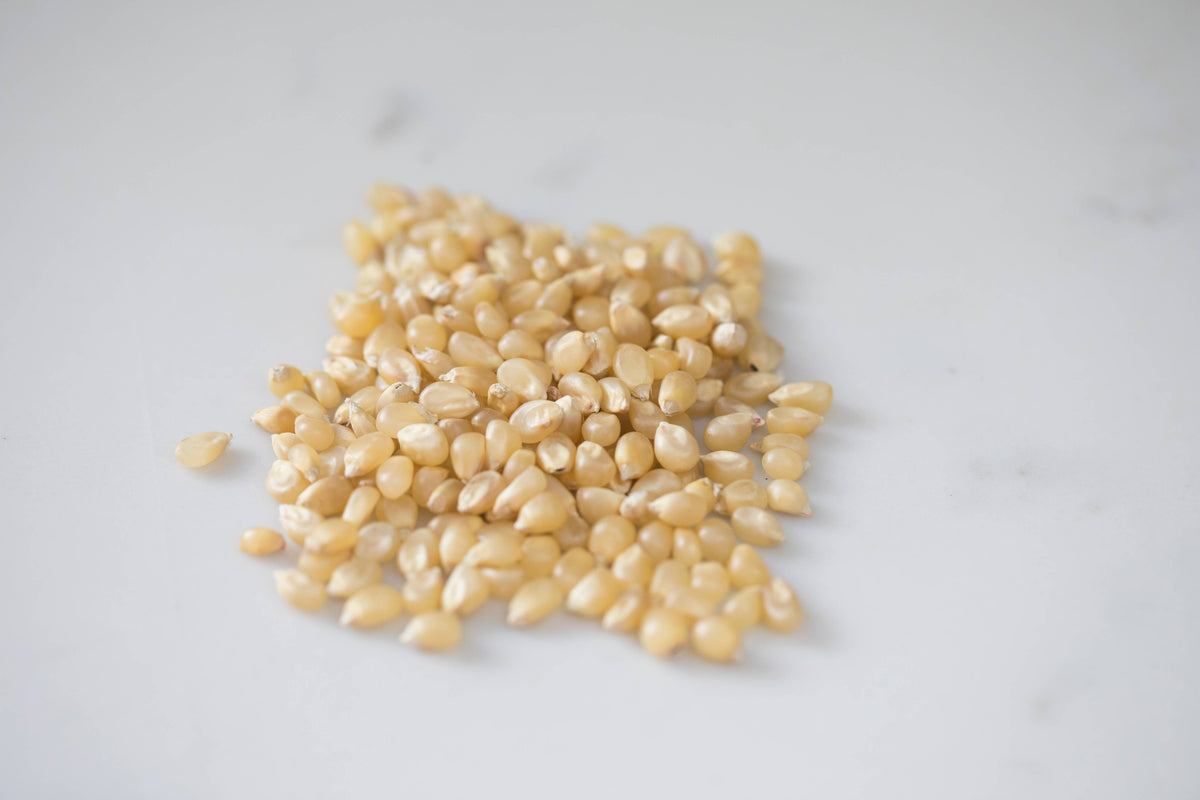 6lb Bag of Medium White Hulless Popcorn