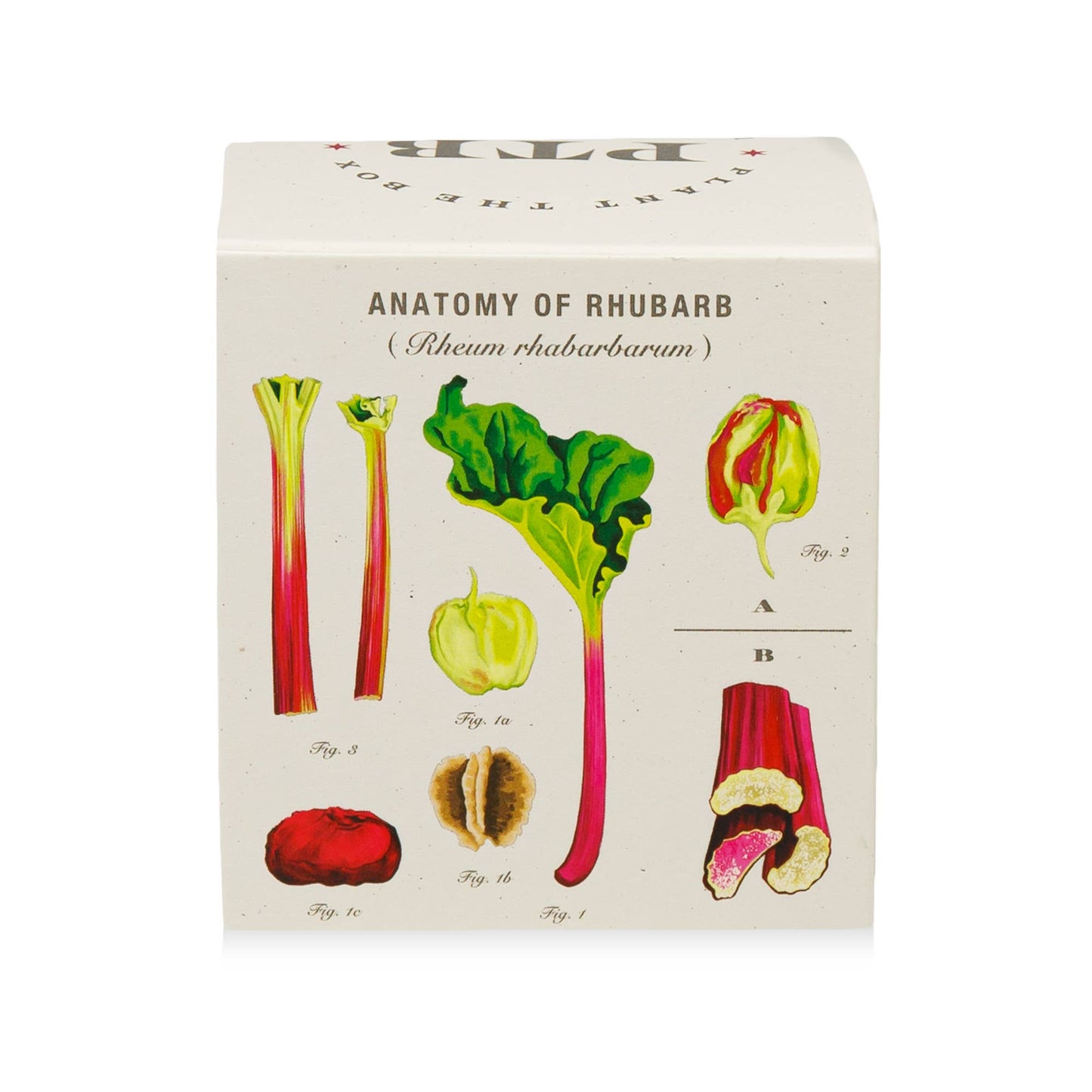 Backyard Rhubarb - Plant the Box Candle - 9oz.