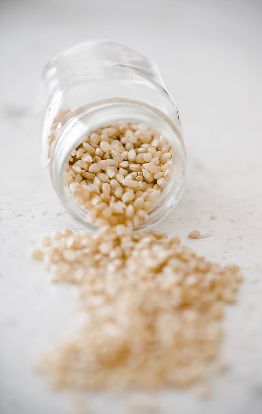 6lb Bag of Medium White Hulless Popcorn