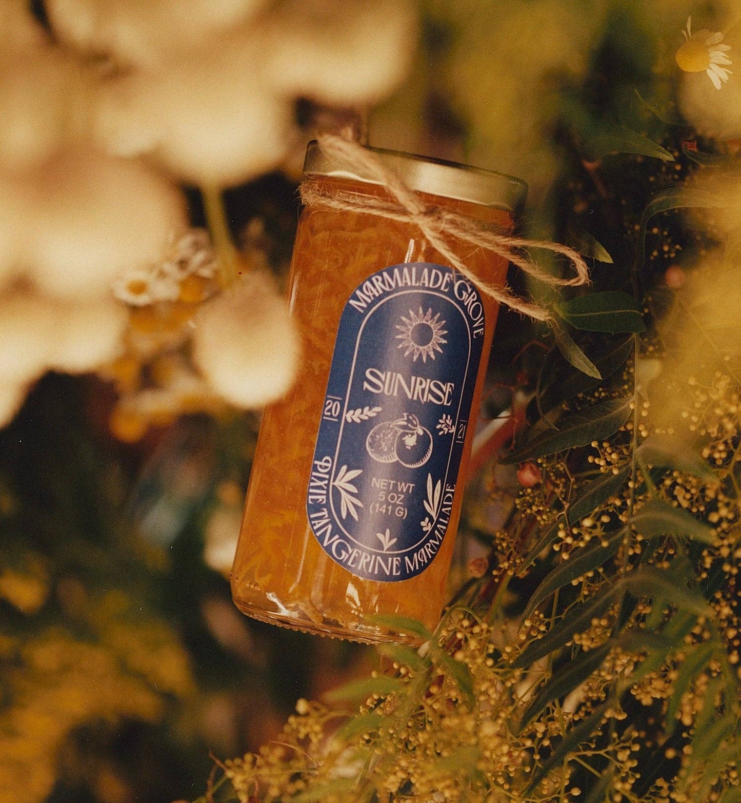 Sunrise, Pixie Tangerine Marmalade