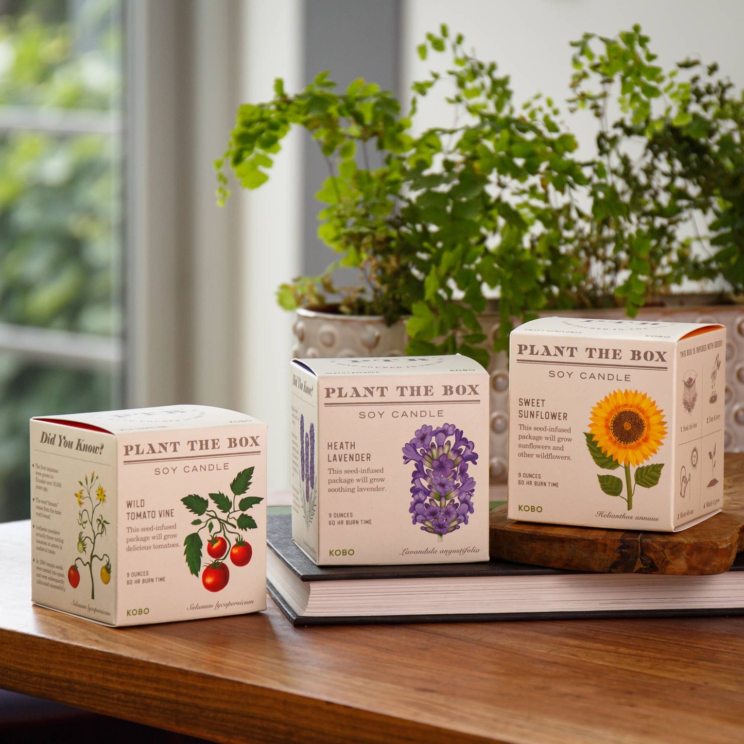 Wild Tomato Vine - Plant the Box Candle - 9oz.