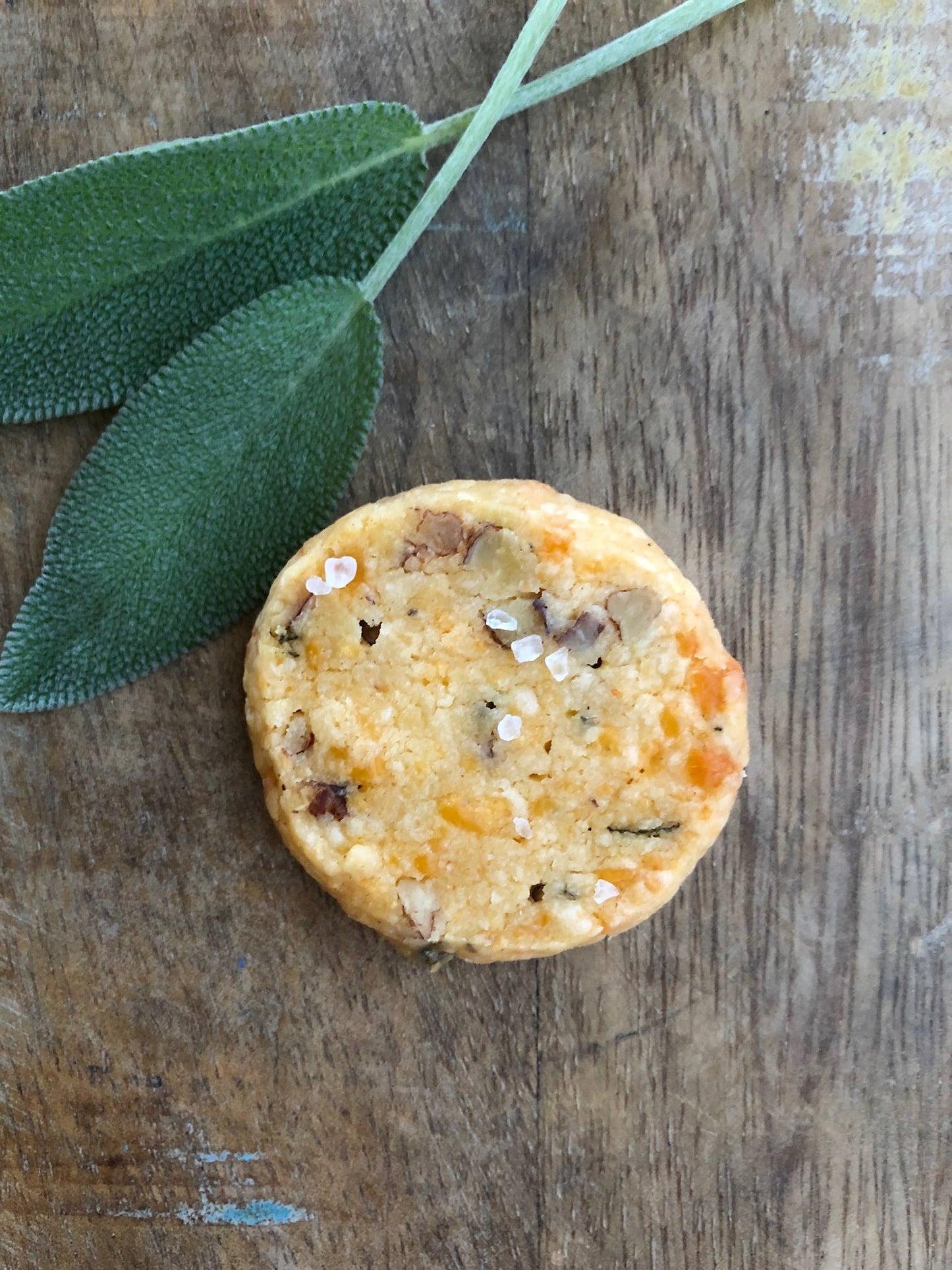 Cheddar | Sage | Pecan Gourmet Cheese Wafer Dough Log
