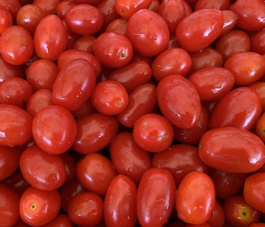 Bio Orto Organic Red Datterini Tomatoes in Water