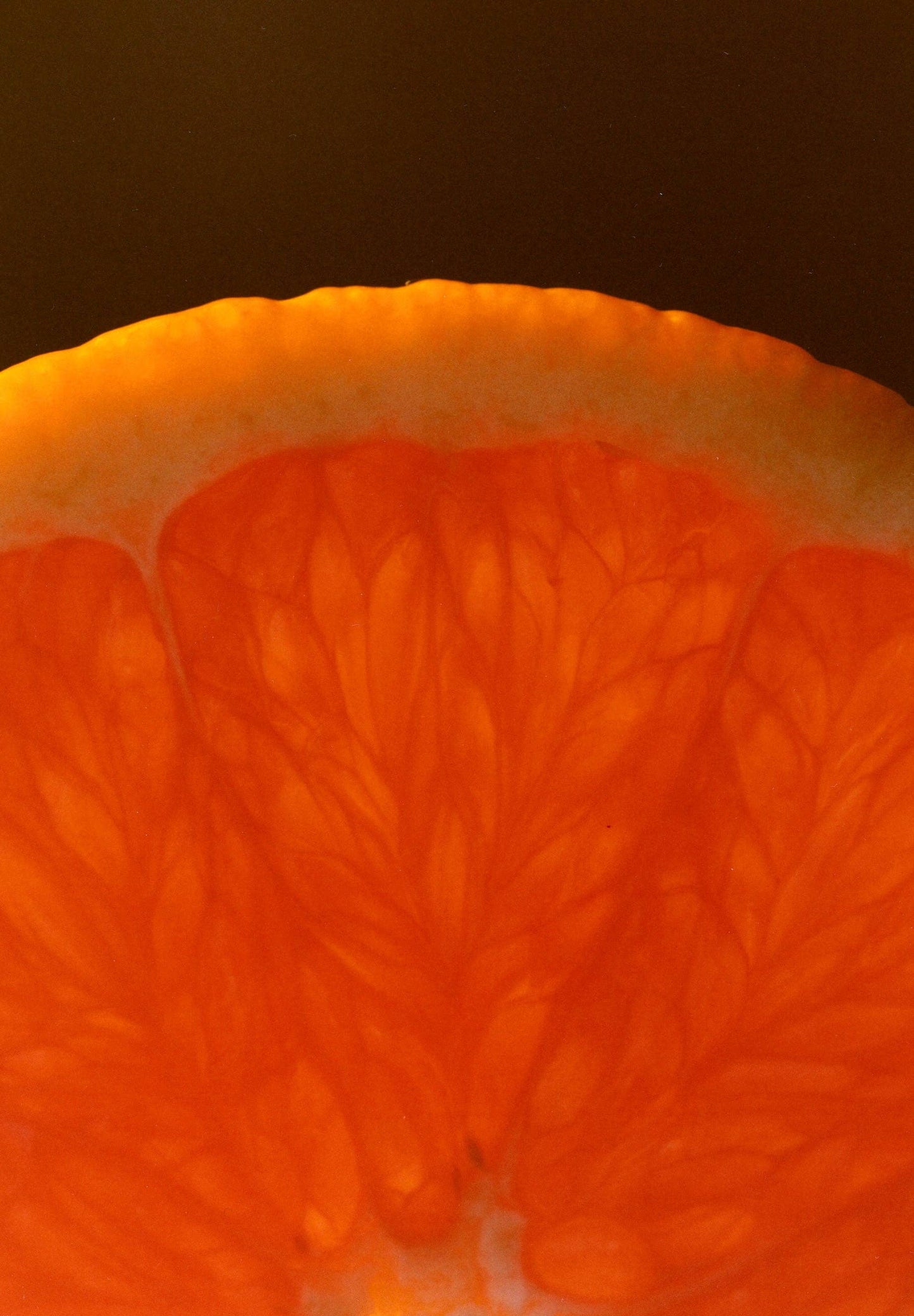 Cara Cara and Hibiscus Marmalade