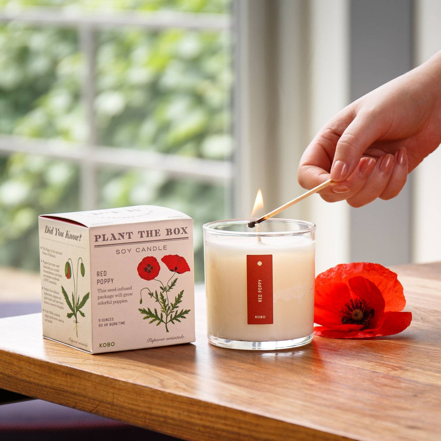 Red Poppy - Plant the Box Candle - 9oz.