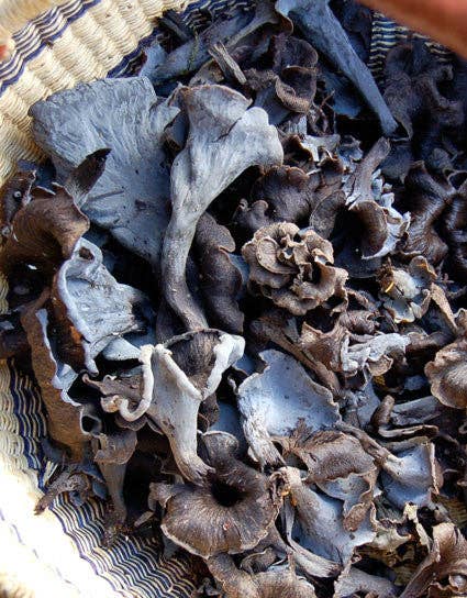 Dried Black Trumpet Mushrooms