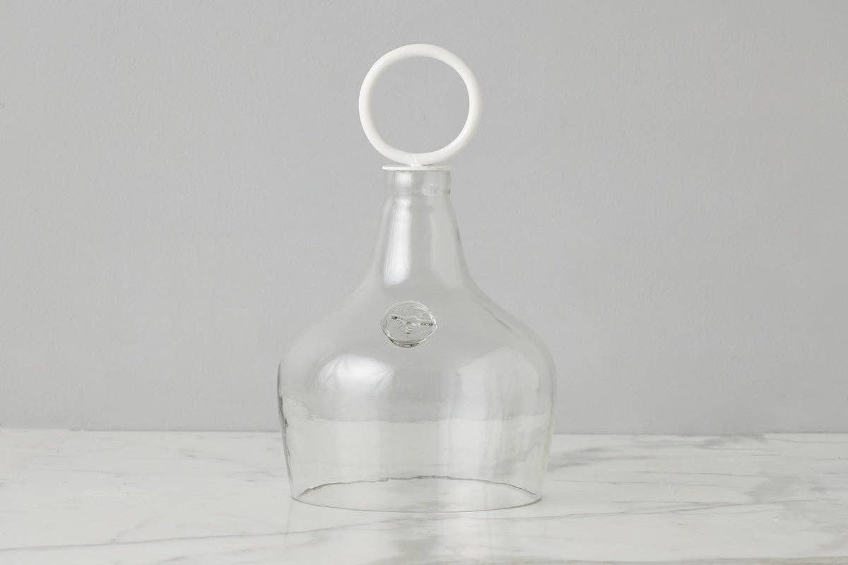 Glass Cloche Food Cover, White Ring Handle, Small