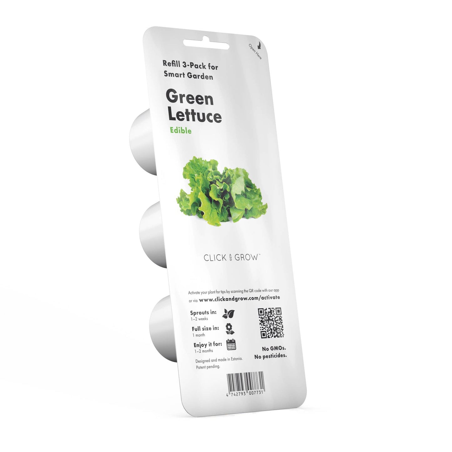 Green Lettuce Plant Pods